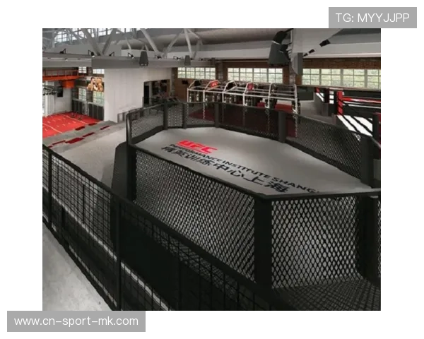 UFC训练营进行反击专项课程，整体效果良好