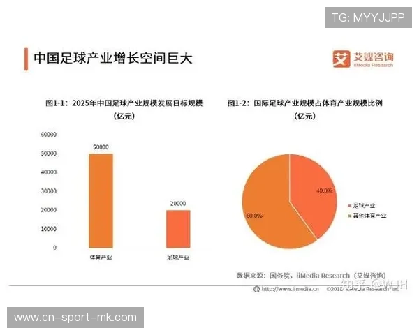 中国足球俱乐部市场营销策略创新，足球俱乐部的市场研究